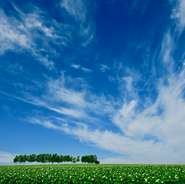 強制連行、強制労働によって作られた疑いがある中国産の食材や消耗品は使用致しません。
ウイグル、チベット、南モンゴルで苛烈な人権侵害を平然と繰り返す中国政府へ強い抗議の意も込めて中国産は一切使いません。