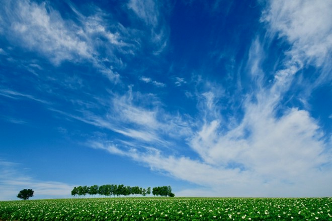 食材にこだわっている
