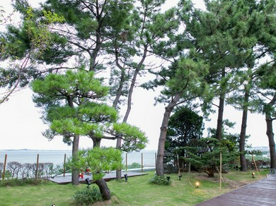 ホテル6階フロアとは思えない、自然庭園の景観