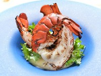 開店以来の人気メニュー。プリプリの高級海老を香ばしくグリルしました。ワインにもよく合います。

※現在は、コース料理営業のため、一部ディナーコースでお出ししております（ファヴォーレ、スペシャリテコース）