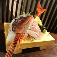 ホウボウは、カサゴ目ホウボウ科に属する魚類
変わった外見と動作が特徴の海水魚で、美味な食用魚でもあります
是非当店にお越しいただき食していただきたい逸品です
