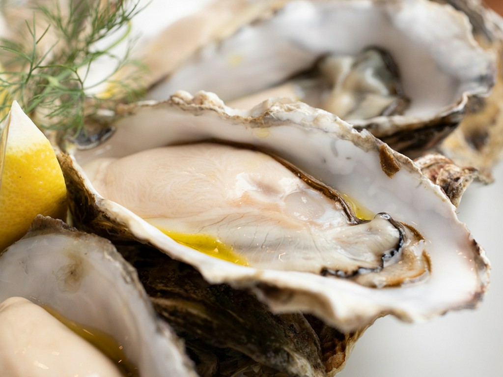 北海道直送！新鮮なブランド生牡蠣「まるえもん」