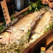 青森や函館など、北の海から届く新鮮な魚介類が味わえる