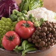 太陽をいっぱい浴びた糸島野菜は、色が濃くきれいで、味がしっかりしているのが特徴。普段スーパーに並んでいない、珍しい野菜もふんだんに使用されています。中には農家直送の新鮮野菜もあり。