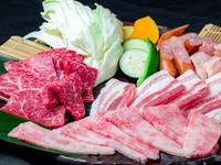 カルビ・もも・宮崎おいも豚の豚バラカルビ・宮崎地鶏・ウインナー・焼き野菜（ハーフ）