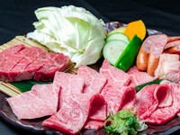 幸庵ロース・幸庵カルビ・塩特選フィレ・宮崎日南鶏・ウインナー・焼き野菜（ハーフ）