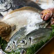 鹿児島県長島産「萬サバ」や「イシガキダイ」など九州近海で獲れる魚介をメインに使用し、野菜は地場産の旬のものを仕入れて使用しています。魚介は生け簀から揚げて調理をするので、鮮度は抜群です。