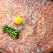つるっとした食感、香り、甘味を存分に楽しめるようにと、締めてからわずか数時間というトラフグをてっさ（刺身）で提供。春、越前沖に産卵のために回遊してくる天然とらふぐを畜養したものを使用しています。