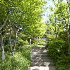 入り口へのアプローチ