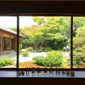 入り口から眺めた日本庭園