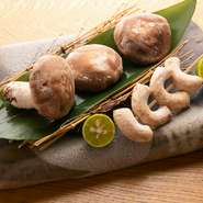 炭火焼で最高の美味しさを届ける『奈良吉野の原木椎茸の炭火焼』