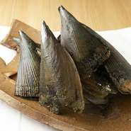 『タイラガイ』の大振りの貝柱は甘みが強く、食感もコリコリして美味。店では希少価値の高い、小豆島などの近海ものを入手するルートを確立し、刺身や天ぷらのほか、炭火で軽く炙り岡山産の海苔を巻くなどして提供。