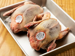 最高級の鳩肉の産地、フランス・ラカン産の鳩