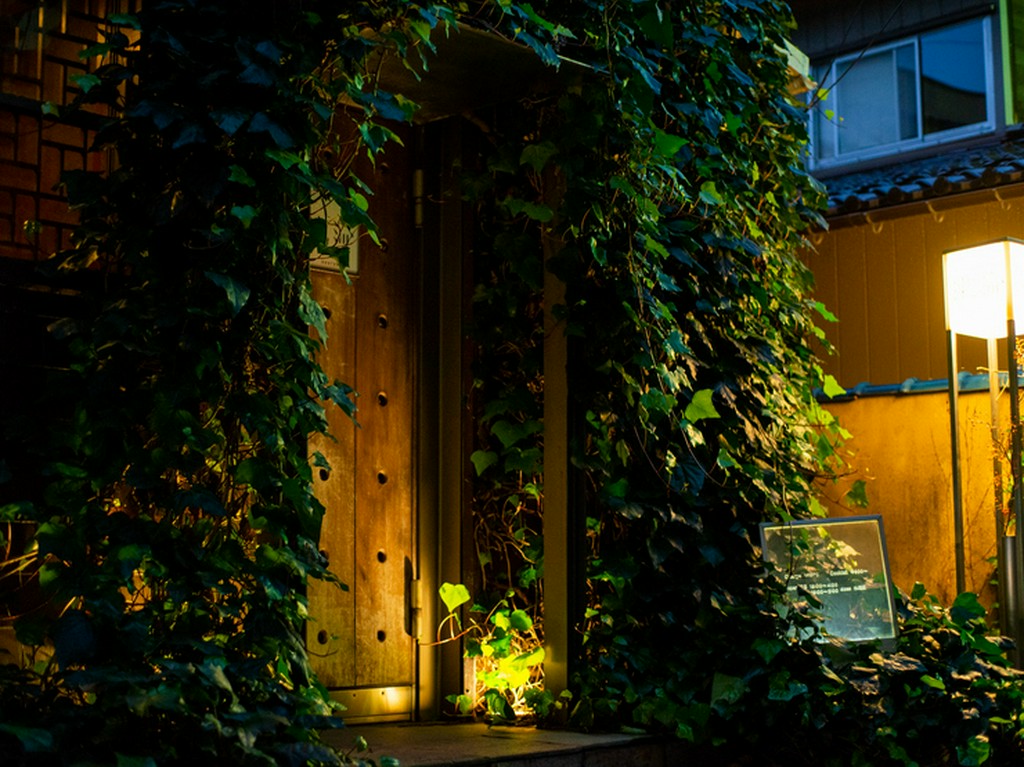 木を基調とした神秘的な外観の一軒家バー