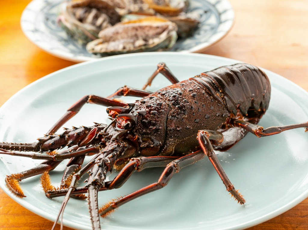 アワビ以外にも、伊勢海老や鯛など高級食材がコースで楽しめます