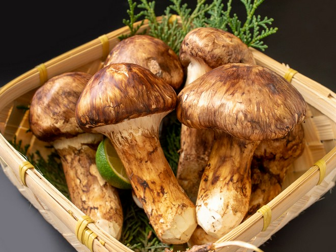 旬の食材にこだわっている