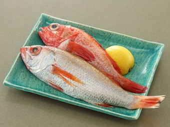 煮付けや塩焼きがおすすめ。上質な脂がのった高級魚『極上のどぐろ・きんき』