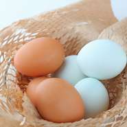 「青玉」は、南米チリ原産の「アローカナ」を血統に持つ「あすなろ卵鶏」の神秘的な翡翠色の卵。「赤玉」は、古くから日本の風土の中で育ってきた鶏「もみじ」の卵で、殻が赤く、まろやかで上品な味わいが特長です。
