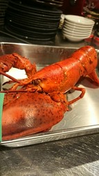 ＜ディナー＞FAROディナーコース 全9品