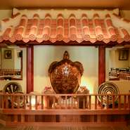 存在感を放つアオウミガメの剥製。昭和49年の開店時からのもので、これほど大きな剥製は現在入手困難。