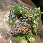 秋の味覚【9月~10月ごろ】