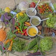 新鮮な島野菜を中心としたサラダバー。
豊富なコンディメント（ドレッシングやトッピング）とご一緒にどうぞ。
フルーツやヨーグルト、手作りジャムなど身体が喜ぶメニューです。

