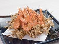カリカリに揚げられた食感が、やみつきになる『車海老とゴボウのかき揚げ』