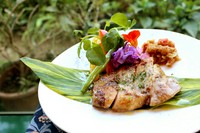 (※サラダ・スープ・ライス付)
ハーブ独特の風味、程よい焦げ目のついた鶏肉と季節の自家製ソースがベストマッチしたオススメの一品です。