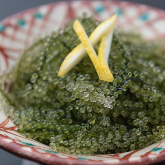 海ぶどう