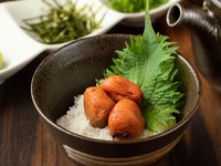 鮭・梅・海苔・昆布・たこわさ