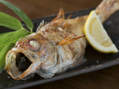 石川県で会社の人と宴会ができるおすすめグルメ ヒトサラ