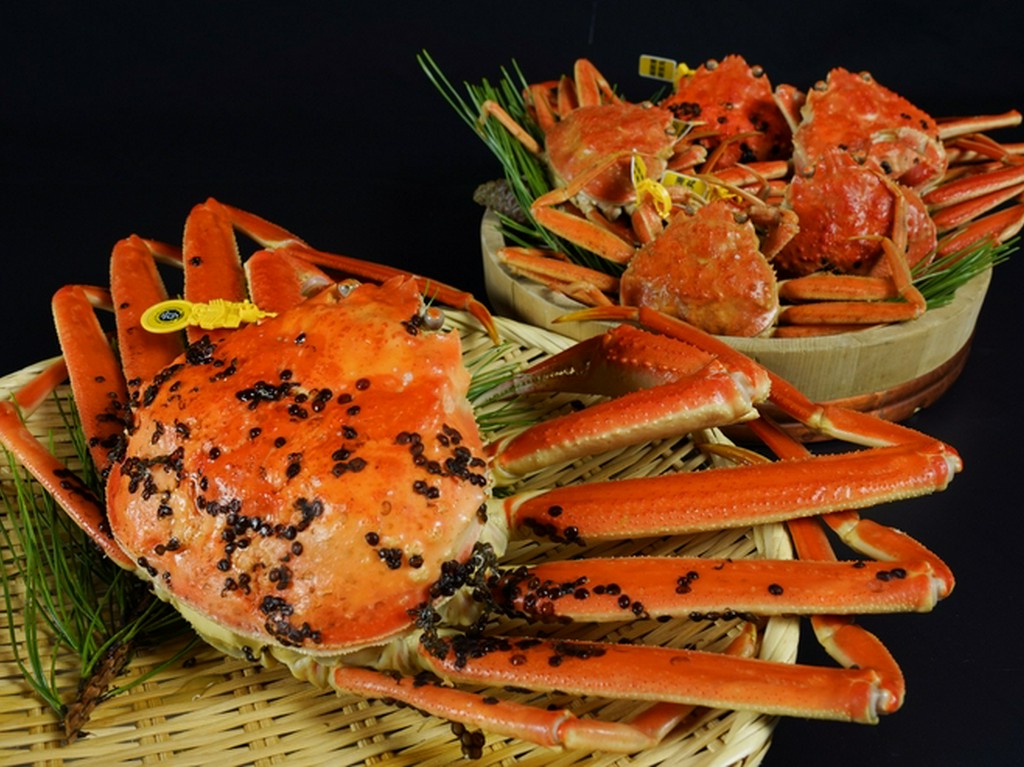 冬の味覚の王様！越前ガニ！！