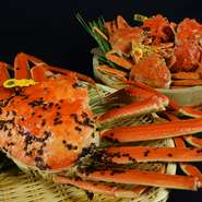 店主が越前港で買い付けした自慢の越前ガニ！皇室ものを献上クラスからお一人様用までお好きなものをどうぞ