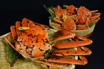 슌카슈토우 케무리야