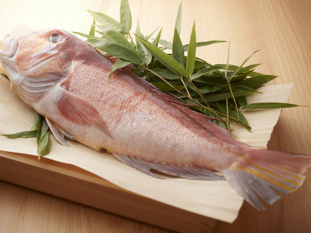 水深の深さと魚の豊富さで知られる、富山湾の新鮮魚介