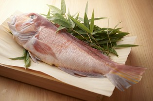 水深の深さと魚の豊富さで知られる、富山湾の新鮮魚介