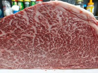 80種類以上のドリンクメニューとローストビーフ、スカイフォールでしか食べれない生パスタ等
人気のコース