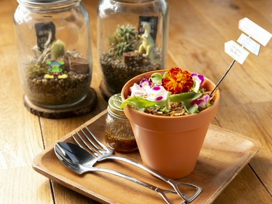 圧倒的なオーダー率を誇る看板メニュー『gardeん特製　植木鉢サラダ』