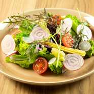 LAVE菜園風サラダ　3種類の選べるドレッシング