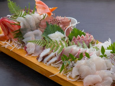 天草の海に育まれた、四季折々の新鮮な魚たちを様々な料理で堪能