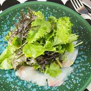 毎日変わる魚で味わうカルパッチョ。この日は、和歌山県からの石鯛が登場しました。野菜は朝採りの無農薬野菜を使用。その日限りの限定の一皿は格別の味わいです。オリジナルドレッシングで召し上がれ。