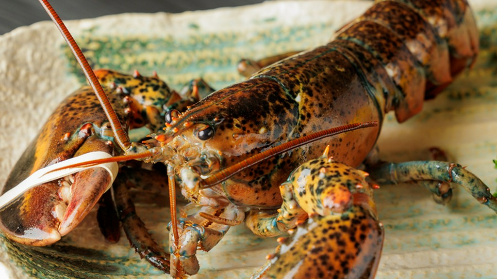 特別な一時を演出『オマール海老』（要予約）