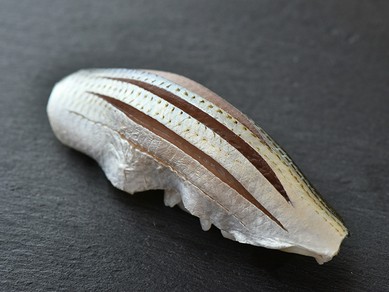 名古屋駅 西区 中村区の鮨 寿司がおすすめのグルメ人気店 ヒトサラ