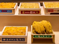 豪華ウニの食べ比べと季節の握りのフルコース『特上お任せ握りプラン』