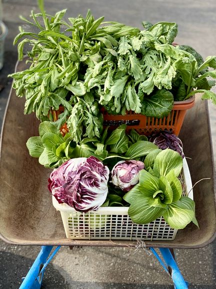 自家菜園で育てている、無農薬露地栽培野菜をふんだんに使用