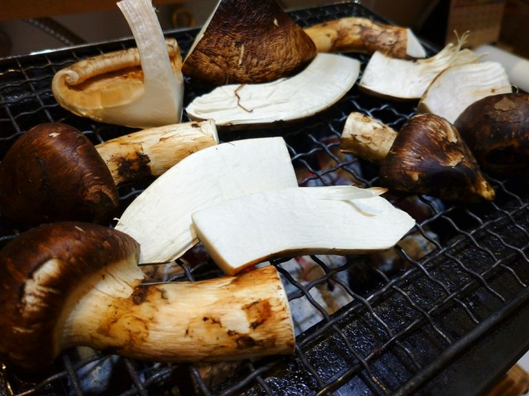 国産松茸の炭火焼き