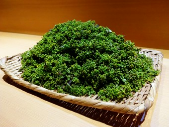 花山椒 