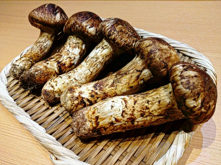 松茸コースございます。詳しくはお問い合わせください。
