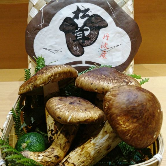 丹波産松茸