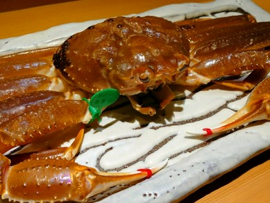 京都産間人蟹  通常の蟹コースとは別に活蟹コースのご予約も承っております。